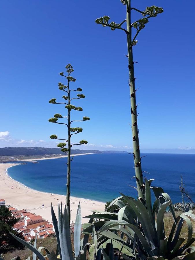 Refúgio Villa Mar Nazaré Exterior foto